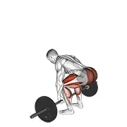 Deadlift (Ölü Kaldırış) yapılış animasyonu